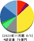 テクミラホールディングス 貸借対照表 2023年11月期