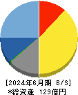 キューブシステム 貸借対照表 2024年6月期