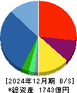 ワールドホールディングス 貸借対照表 2024年12月期 ワールドホールディングス 貸借対照表 2024年12月期