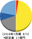 テクノマセマティカル 貸借対照表 2024年3月期