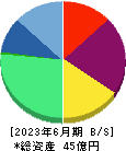 東京通信グループ 貸借対照表 2023年6月期