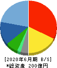 ウェルネット 貸借対照表 2020年6月期