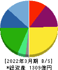 メニコン 貸借対照表 2022年3月期