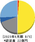 テクノマセマティカル 貸借対照表 2023年6月期