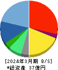 インターネットインフィニティー 貸借対照表 2024年3月期