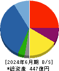 サンヨーホームズ 貸借対照表 2024年6月期