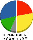 日本食品化工 貸借対照表 2025年6月期 日本食品化工 貸借対照表 2025年6月期