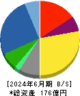 ＦＩＧ 貸借対照表 2024年6月期