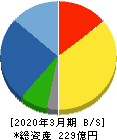 テクノスマート 貸借対照表 2020年3月期