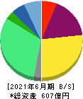 シンプレクス・ホールディングス 貸借対照表 2021年6月期