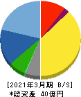 パルステック工業 貸借対照表 2021年3月期