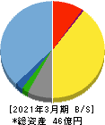 データ・アプリケーション 貸借対照表 2021年3月期