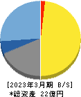 テクノマセマティカル 貸借対照表 2023年3月期