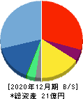 ピクスタ 貸借対照表 2020年12月期