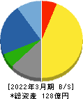 テセック 貸借対照表 2022年3月期