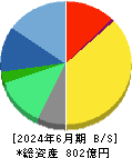 ＮＳＤ 貸借対照表 2024年6月期