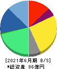 レカム 貸借対照表 2021年6月期