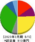 Ｃ＆Ｆロジホールディングス 貸借対照表 2023年3月期