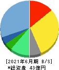 日本情報クリエイト 貸借対照表 2021年6月期