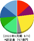 三井松島ホールディングス 貸借対照表 2022年6月期