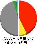 日本興亜損害保険 貸借対照表 2009年12月期