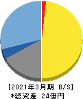 テクノマセマティカル 貸借対照表 2021年3月期