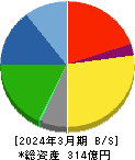 竹田ｉＰホールディングス 貸借対照表 2024年3月期