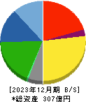 竹田ｉＰホールディングス 貸借対照表 2023年12月期