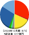 電算システムホールディングス 貸借対照表 2024年12月期 電算システムホールディングス 貸借対照表 2024年12月期