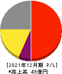 ファインデックス 損益計算書 2021年12月期