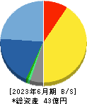 ブロードマインド 貸借対照表 2023年6月期