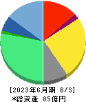 エクサウィザーズ 貸借対照表 2023年6月期