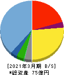 光ハイツ・ヴェラス 貸借対照表 2021年3月期