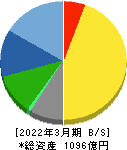 パイオラックス 貸借対照表 2022年3月期