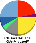 エムティーアイ 貸借対照表 2024年6月期