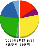 研創 貸借対照表 2024年6月期