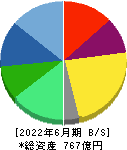 三井松島ホールディングス 貸借対照表 2022年6月期