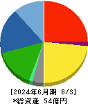 中京医薬品 貸借対照表 2024年6月期