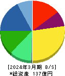 サイバーリンクス 貸借対照表 2024年3月期