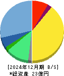 ココペリ 貸借対照表 2024年12月期 ココペリ 貸借対照表 2024年12月期