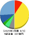 エイジス 貸借対照表 2025年3月期 エイジス 貸借対照表 2025年3月期