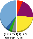 光ハイツ・ヴェラス 貸借対照表 2023年6月期