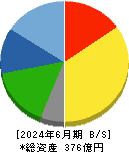 シンニッタン 貸借対照表 2024年6月期