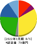 テイン 貸借対照表 2022年3月期