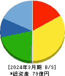 東葛ホールディングス 貸借対照表 2024年3月期