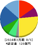 ＣＥホールディングス 貸借対照表 2024年3月期