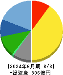 船井総研ホールディングス 貸借対照表 2024年6月期