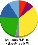 テイン 貸借対照表 2023年6月期