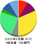 シンプレクス・ホールディングス 貸借対照表 2025年6月期 シンプレクス・ホールディングス 貸借対照表 2025年6月期