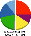 安永 貸借対照表 2024年6月期